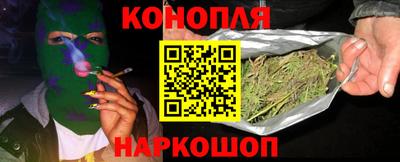 сатива Тверь
