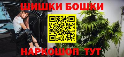 сатива Тверь