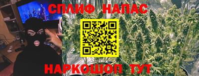 гидра Тара