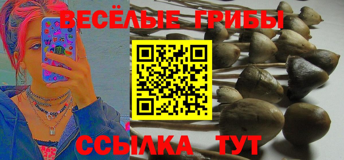 Галлюциногенные грибы Cubensis Тула