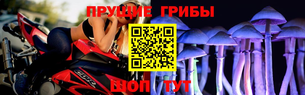 Тула  Псилоцибиновые грибы мицелий  Псилоцибиновые грибы прущие грибы  Вход с VPN 